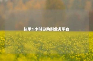 快手24小时自助刷业务平台