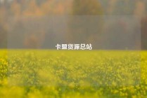 卡盟货源总站