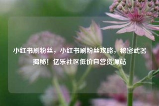 小红书刷粉丝，小红书刷粉丝攻略，秘密武器揭秘！亿乐社区低价自营货源站