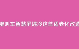 上海部分“一键叫车”智慧屏遇冷？这些适老化改造问题待优化