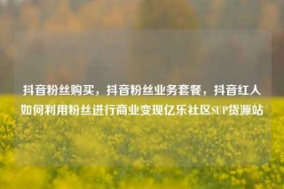 抖音粉丝购买，抖音粉丝业务套餐，抖音红人如何利用粉丝进行商业变现亿乐社区SUP货源站