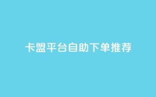 卡盟平台自助下单推荐 - 自助下单推荐：卡盟平台优选推荐!