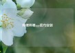 哔哩哔哩app官方安装