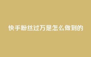 快手粉丝过万是怎么做到的,快手刷播放秒到 - ks便宜24小时业务 - qq买点赞1毛10000赞