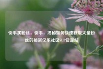 快手买粉丝，快手，揭秘如何快速获取大量粉丝的秘密亿乐社区SUP货源站