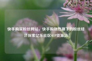 快手购买粉丝网站，快手购物热潮下的粉丝经济探索亿乐社区SUP货源站
