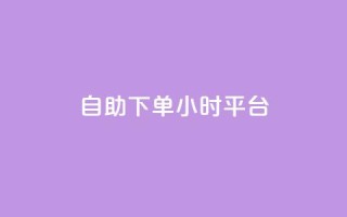 自助下单24小时平台 - 24小时自助下单平台，方便快捷服务。