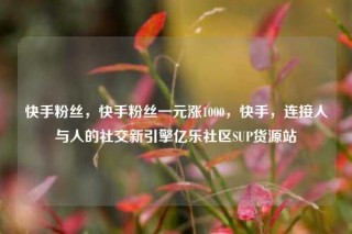 快手粉丝，快手粉丝一元涨1000，快手，连接人与人的社交新引擎亿乐社区SUP货源站