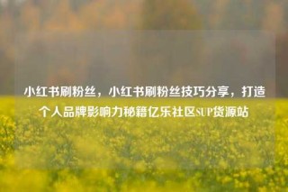 小红书刷粉丝，小红书刷粉丝技巧分享，打造个人品牌影响力秘籍亿乐社区SUP货源站