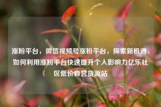 涨粉平台，微信视频号涨粉平台，探索新机遇，如何利用涨粉平台快速提升个人影响力亿乐社区低价自营货源站