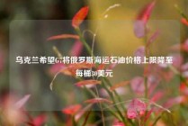 乌克兰希望G7将俄罗斯海运石油价格上限降至每桶30美元