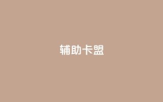 CF辅助卡盟,ks在线业务平台 - 拼多多在线刷助力网站 - 51卡盟平台