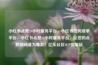 小红书点赞24小时服务平台，小红书任务接单平台，小红书点赞24小时服务平台，让您的点赞瞬间成为爆款！亿乐社区SUP货源站