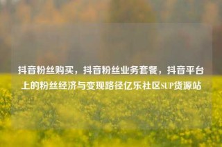 抖音粉丝购买，抖音粉丝业务套餐，抖音平台上的粉丝经济与变现路径亿乐社区SUP货源站