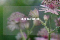 小红书点赞机制