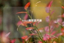 bilibili播放器开源