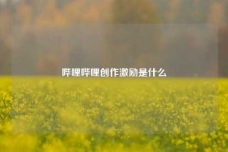 哔哩哔哩创作激励是什么