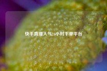 快手直播人气24小时下单平台