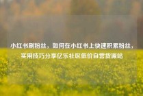 小红书刷粉丝，如何在小红书上快速积累粉丝，实用技巧分享亿乐社区低价自营货源站