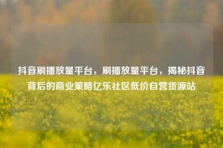 抖音刷播放量平台，刷播放量平台，揭秘抖音背后的商业策略亿乐社区低价自营货源站