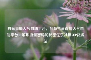 抖音直播人气自助平台，创意抖音直播人气自助平台，解锁流量密码的秘密亿乐社区SUP货源站