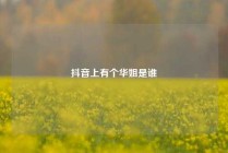 抖音上有个华姐是谁