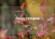 抖音自助下单流量商城