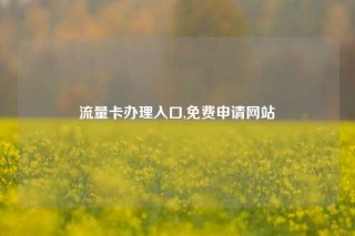 流量卡办理入口,免费申请网站