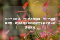 小红书点赞网，小红书点赞网址，小红书的神秘世界，解锁点赞背后的秘密亿乐社区低价自营货源站
