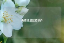免费流量监控软件