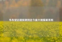 韦布望远镜探测到迄今最大规模星系群