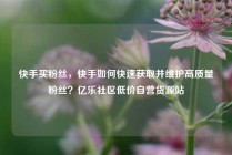 快手买粉丝，快手如何快速获取并维护高质量粉丝？亿乐社区低价自营货源站