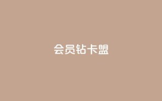 QQ会员钻卡盟 - QQ会员钻卡交易平台推荐与使用指南!