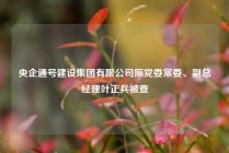央企通号建设集团有限公司原党委常委、副总经理叶正兵被查
