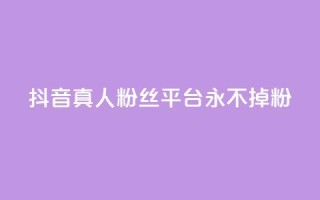 抖音真人粉丝平台 永不掉粉,24小时在线下单商城 - pdd助力平台 - 拼多多多久才算老用户回归