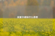 流量卡虚标什么意思