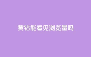 qq黄钻能看见浏览量吗 - QQ黄钻是否可以查看浏览量揭秘。