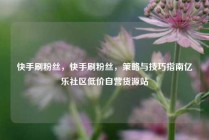 快手刷粉丝，快手刷粉丝，策略与技巧指南亿乐社区低价自营货源站