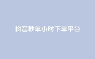 抖音秒单24小时下单平台 - 抖音快速下单服务全天候在线平台。