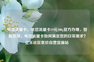 电信流量卡，电信流量卡19元200g官方办理，智能选择，电信流量卡如何满足您的日常需求？亿乐社区低价自营货源站