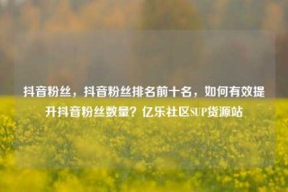 抖音粉丝，抖音粉丝排名前十名，如何有效提升抖音粉丝数量？亿乐社区SUP货源站