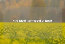 小红书粉丝1000个购买技巧有哪些