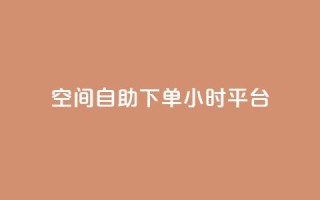 qq空间自助下单24小时平台,网红24小时下单助手 - 王者科技自助平台 - 快手涨热度app