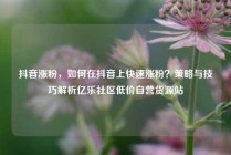 抖音涨粉，如何在抖音上快速涨粉？策略与技巧解析亿乐社区低价自营货源站