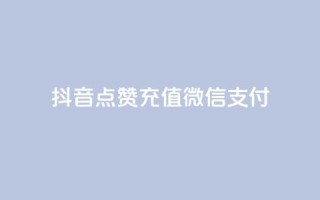 抖音点赞充值微信支付 - 抖音点赞充值支持微信支付全攻略。