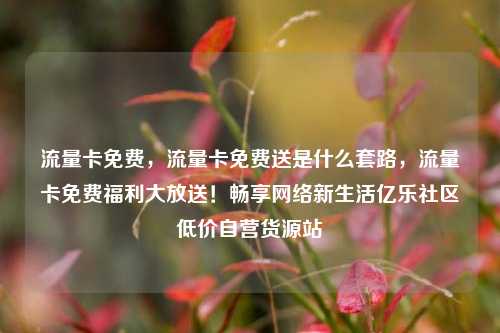 流量卡免费，流量卡免费送是什么套路	，流量卡免费福利大放送！畅享网络新生活亿乐社区低价自营货源站  第1张