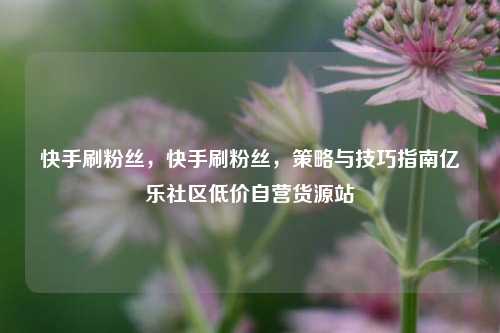 快手刷粉丝，快手刷粉丝，策略与技巧指南亿乐社区低价自营货源站  第1张