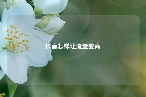 抖音怎样让流量变高  第1张