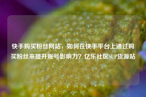 快手购买粉丝网站	，如何在快手平台上通过购买粉丝来提升账号影响力？亿乐社区SUP货源站  第1张