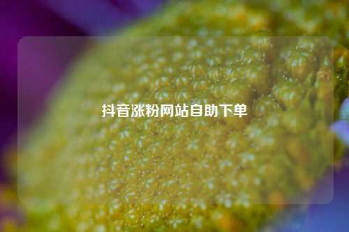 抖音涨粉网站自助下单  第1张